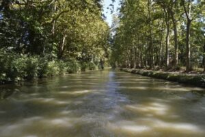 Balade en Bateau à Toulouse