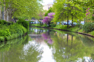 Tours en bateau à Toulouse