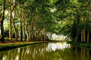 Location de Bateau sur le Canal du Midi à Toulouse