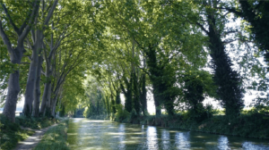 Balade en Bateau sur le Canal du Midi à Toulouse