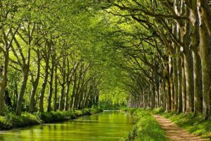 Croisière en Bateau sur le Canal du Midi à Toulouse