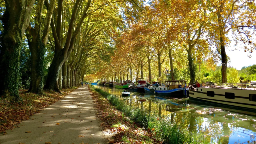 Vue depuis un bateau électrique en balade sur le Canal du Midi entre Toulouse et Ramonville-Saint-Agne