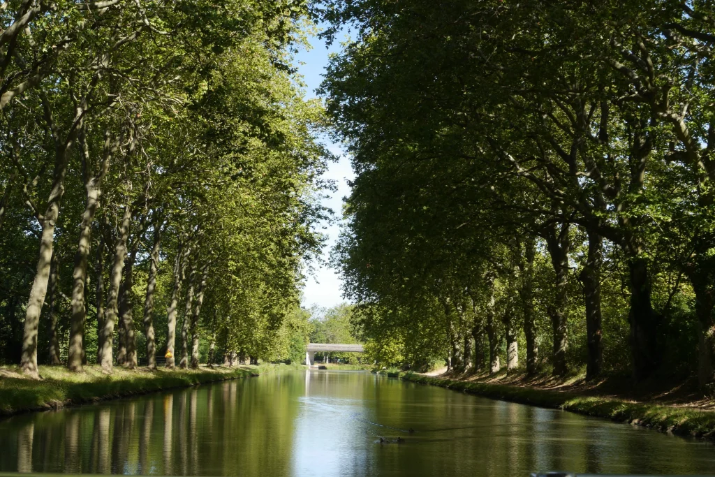 canal du midi location bateau sans permis